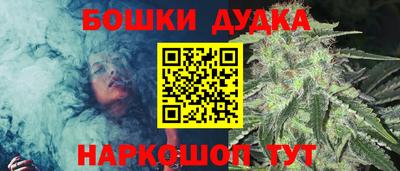 гидра Бийск