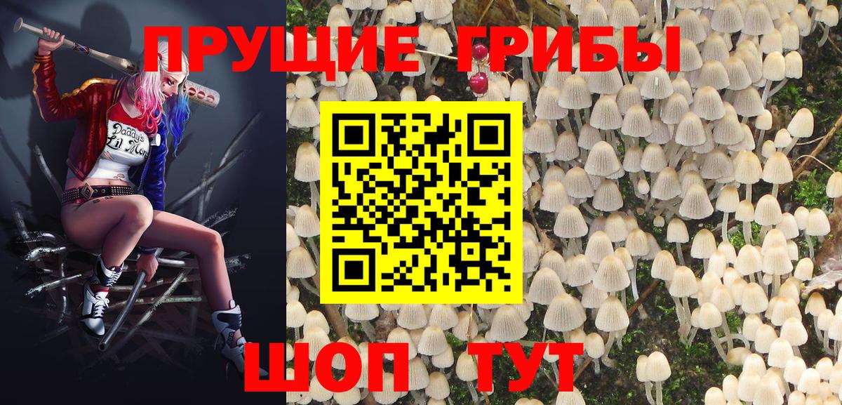 Галлюциногенные грибы Cubensis  Вход с VPN  сколько стоит  Архангельск  Галлюциногенные грибы ЛСД 