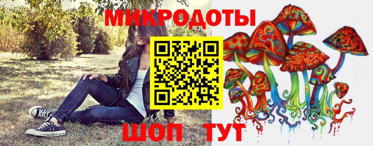 Галлюциногенные грибы мухоморы Архангельск